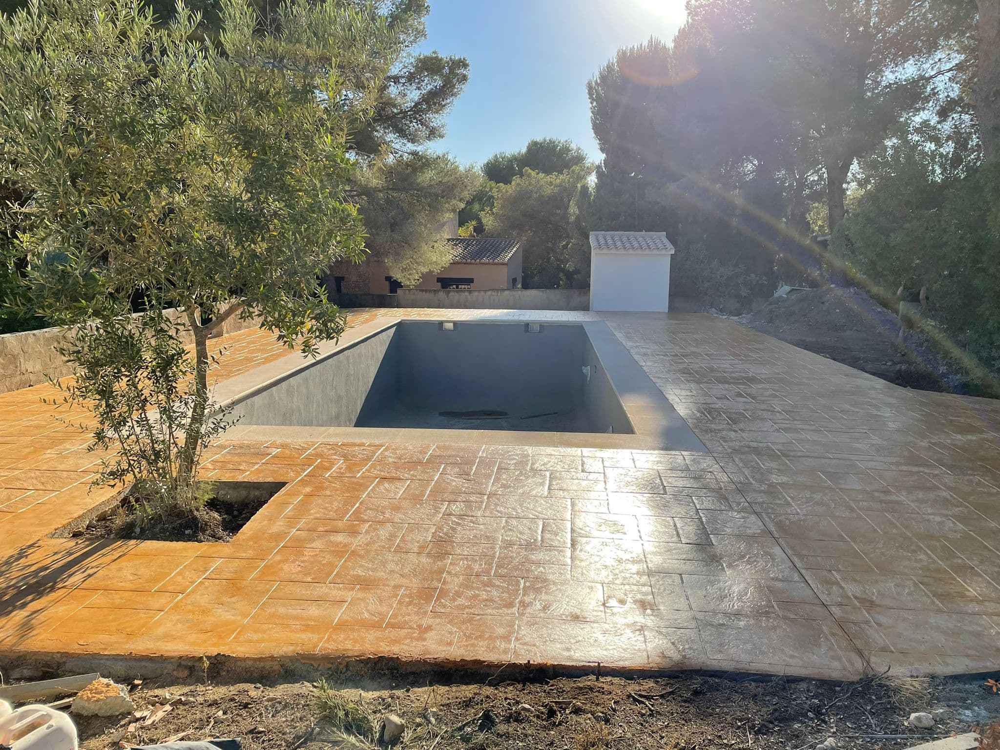 Solárium de hormigón impreso ocre alrededor de una piscina, con un olivo plantado en un alcorque y pinar al fondo.